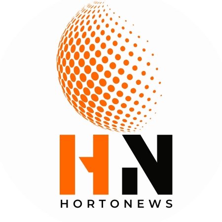 Imagem de perfil do Divulgador