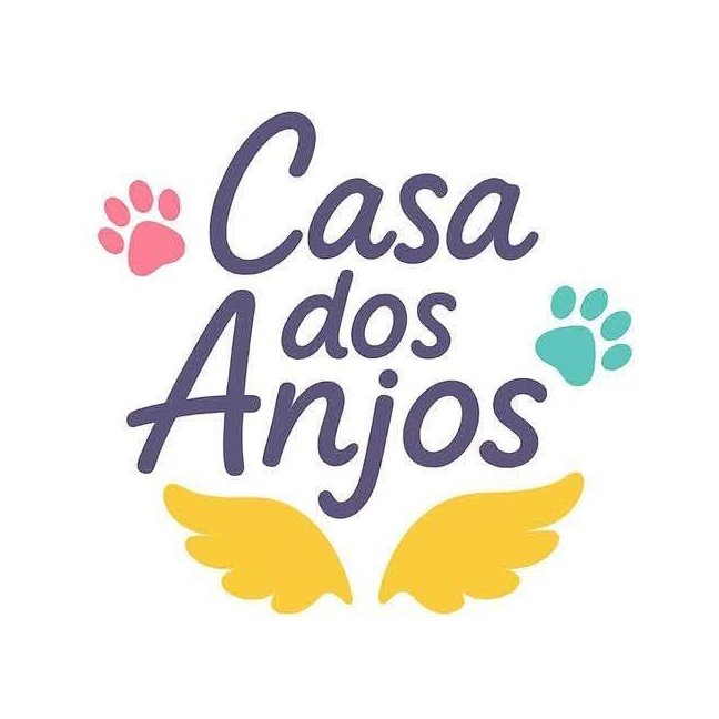 Imagem de perfil do Divulgador